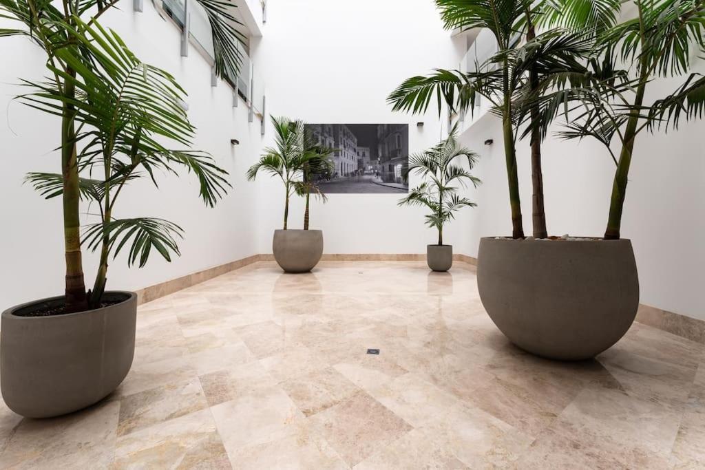 Appartamento Premium Flat In Malaga Center With Free Parking Esterno foto
